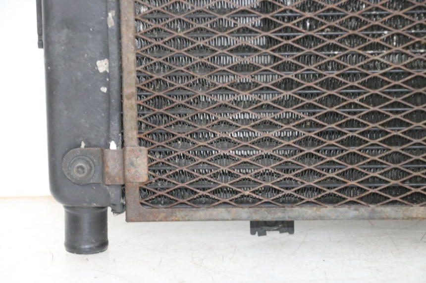 photo de RADIATEUR YAMAHA TDM ABS 900 (2002 - 2014) - Angle alternatif