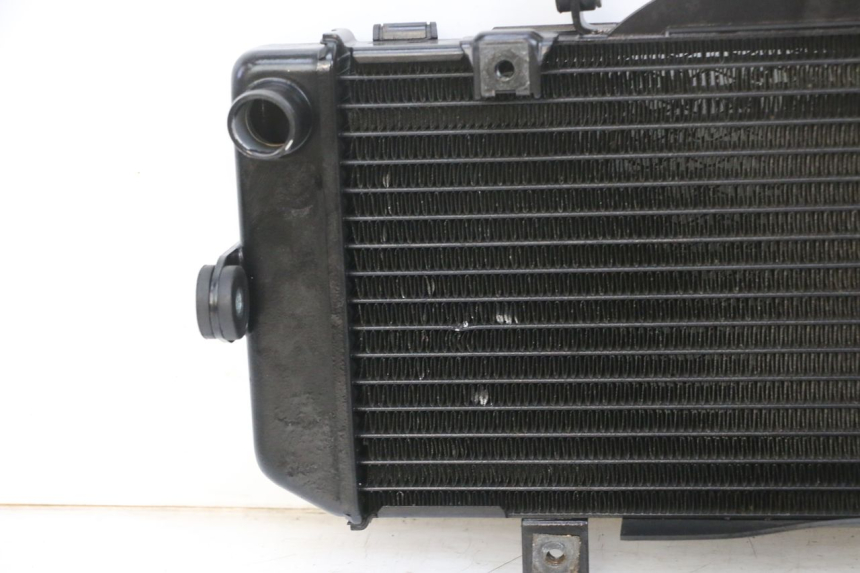 photo de RADIATEUR YAMAHA TDM ABS 900 (2002 - 2014) - Vue produit