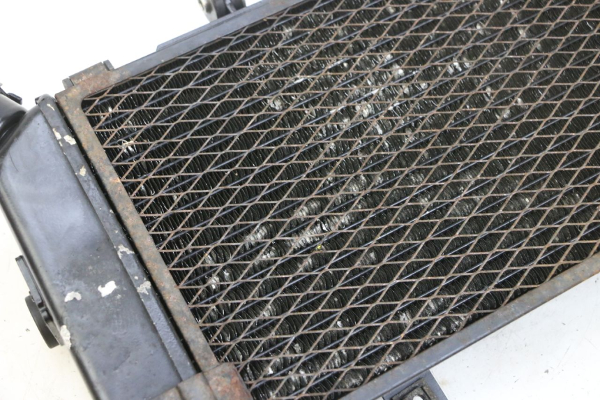 photo de RADIATEUR YAMAHA TDM ABS 900 (2002 - 2014) - Vue d’ensemble