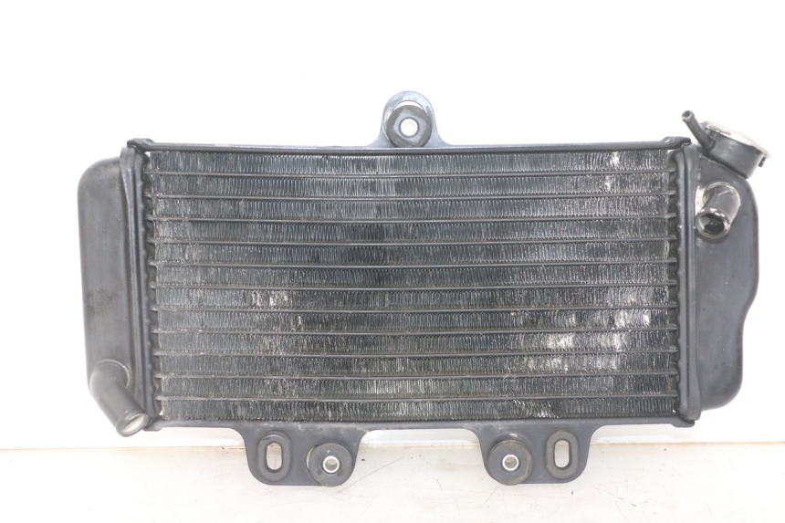 photo de RADIATEUR YAMAHA TDR DELTABOX 125 (1993 - 2003)