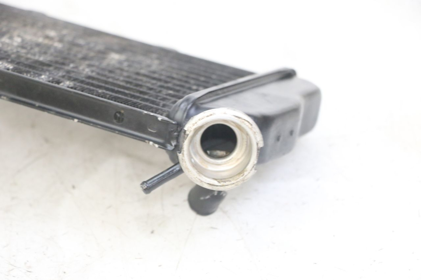 photo de RADIATEUR YAMAHA TDR DELTABOX 125 (1993 - 2003)