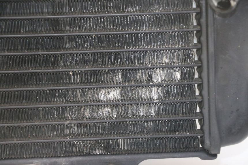photo de RADIATEUR YAMAHA TDR DELTABOX 125 (1993 - 2003)
