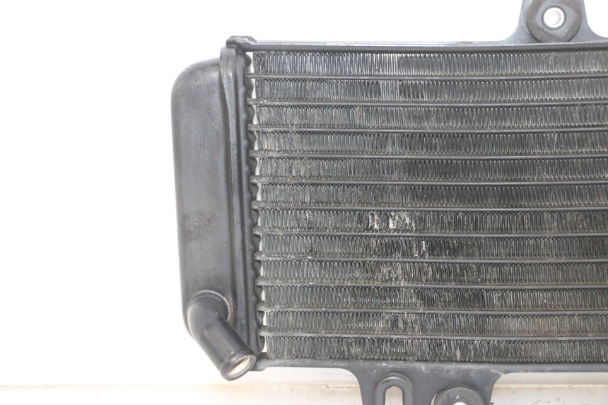 photo de RADIATEUR YAMAHA TDR DELTABOX 125 (1993 - 2003)