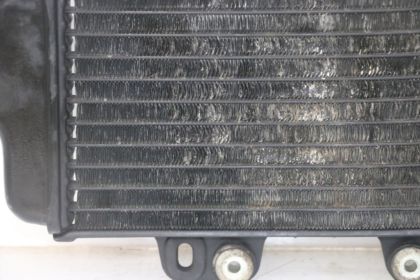 photo de RADIATEUR YAMAHA TDR DELTABOX 125 (1993 - 2003)