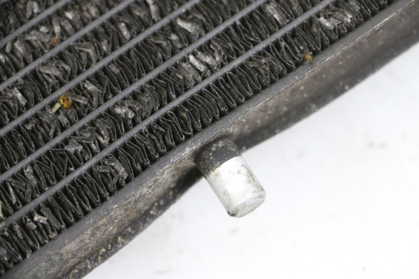 photo de RADIATEUR YAMAHA X-MAX XMAX 125 (2010 - 2014)