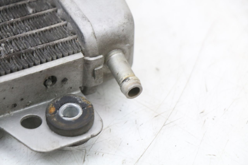 photo de RADIATEUR PIAGGIO X10 125 (2012 - 2017)