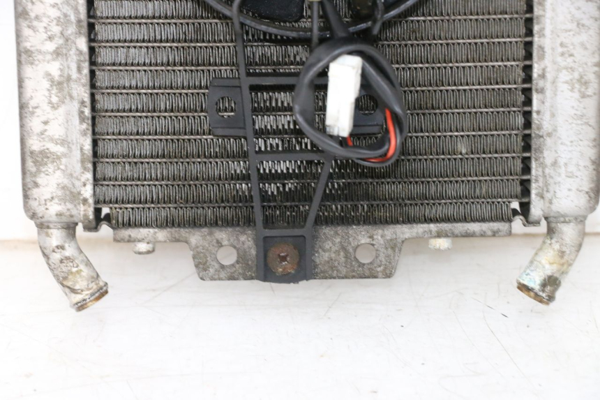 photo de RADIATEUR PIAGGIO X8 125 (2004 - 2007) - Vue produit
