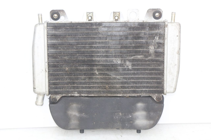 photo de RADIATEUR PIAGGIO X9 EVOLUTION 250 (2003 - 2007)