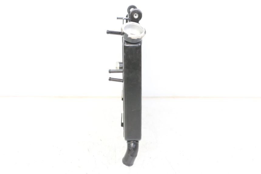 photo de RADIATEUR YAMAHA XJ6 ABS 600 (2008 - 2016)