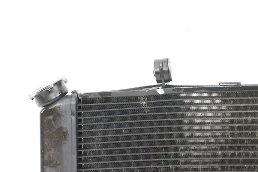 photo de RADIATEUR YAMAHA XJ6 ABS 600 (2008 - 2016)