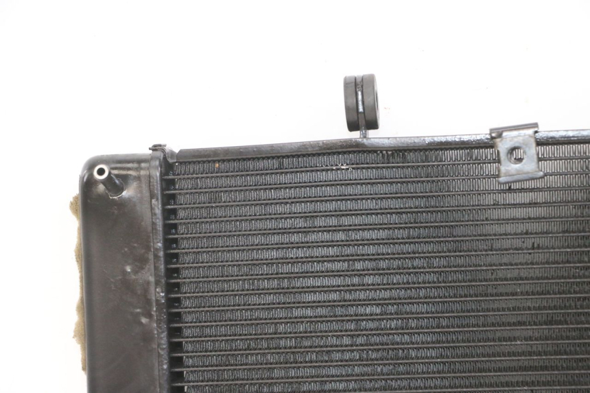 photo de RADIATEUR YAMAHA XJ6 ABS 600 (2008 - 2016)