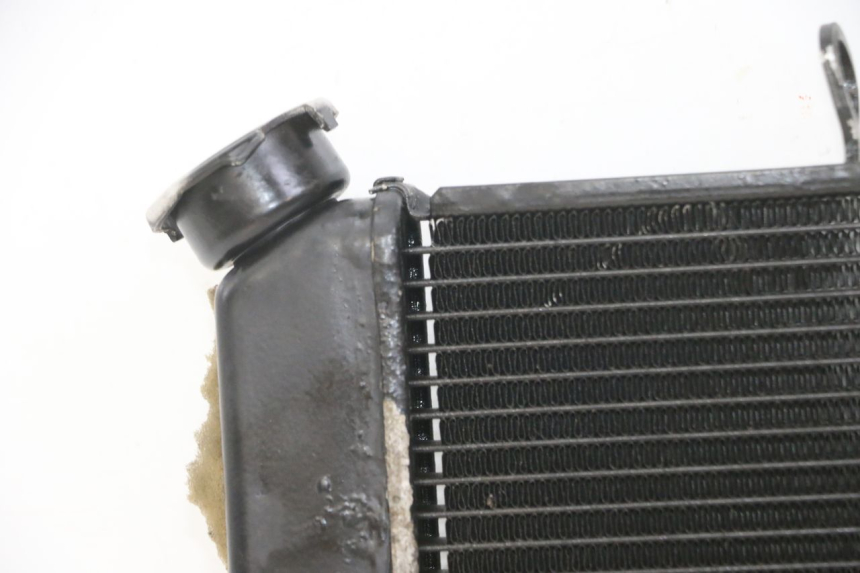photo de RADIATEUR YAMAHA XJ6 ABS 600 (2008 - 2016)