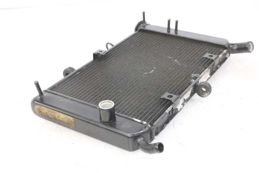 photo de RADIATEUR YAMAHA XJ6 ABS 600 (2008 - 2016)