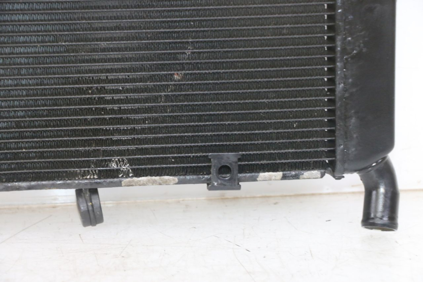 photo de RADIATEUR YAMAHA XJ6 ABS 600 (2008 - 2016)