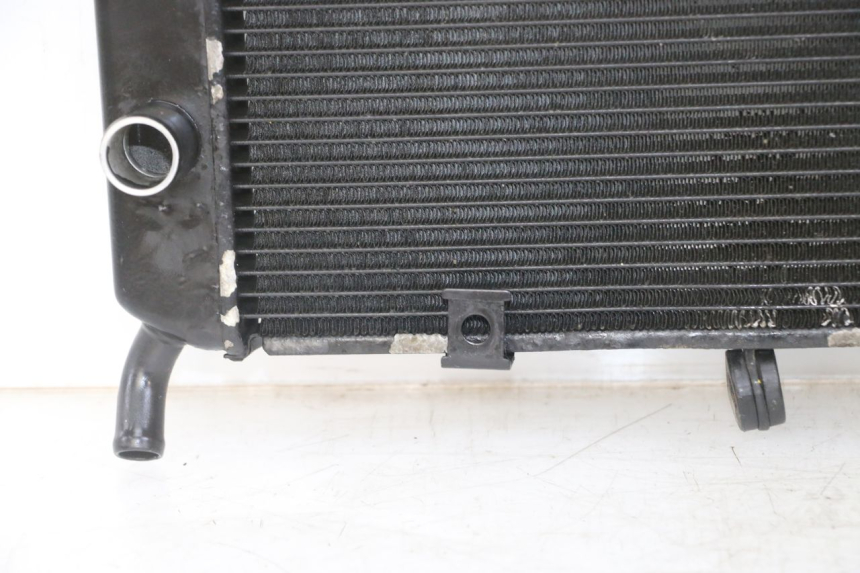 photo de RADIATEUR YAMAHA XJ6 ABS 600 (2008 - 2016)