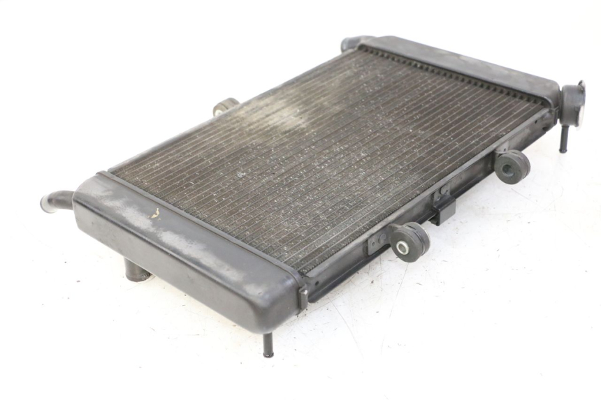 photo de RADIATEUR YAMAHA XJ6 ABS 600 (2008 - 2016)