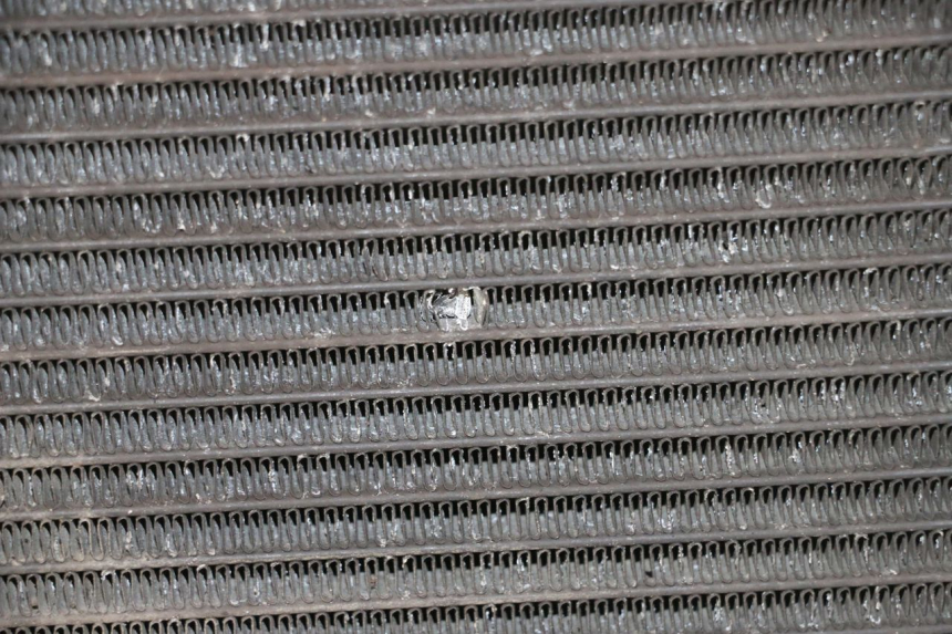 photo de RADIATEUR YAMAHA XJ6 ABS 600 (2008 - 2016)