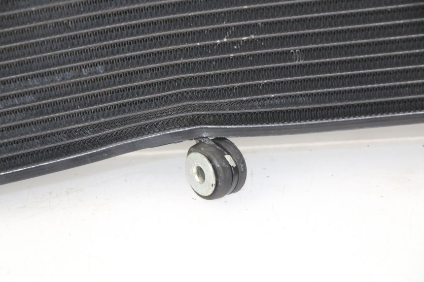 photo de RADIATEUR YAMAHA FZ8 800 (2010 - 2016)