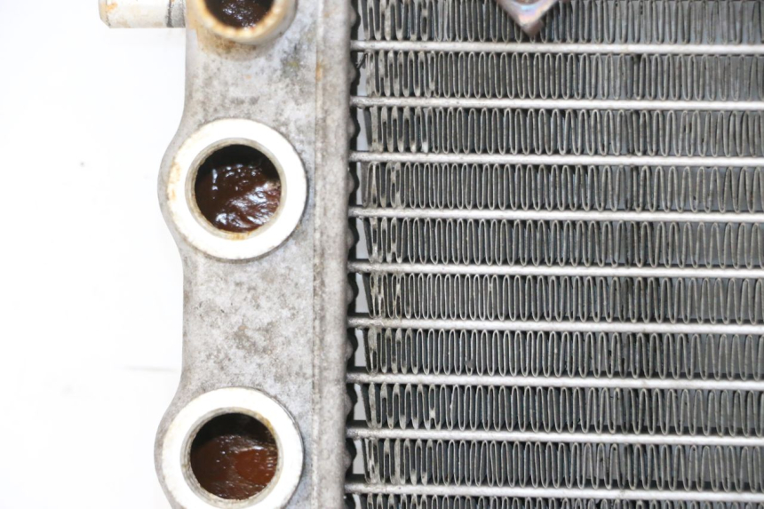 photo de RADIATEUR YAMAHA YP MAJESTY 125 (2007 - 2010)