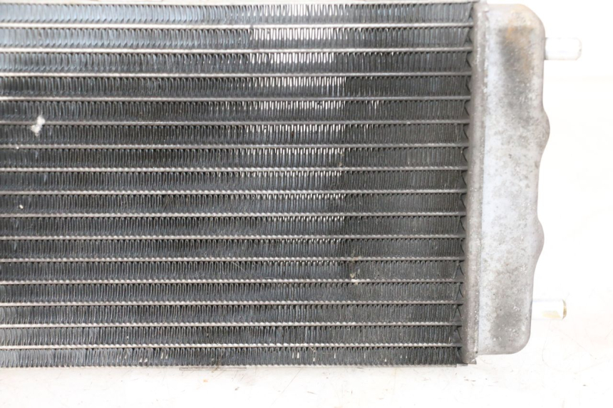 photo de RADIATEUR YAMAHA YP MAJESTY 125 (2007 - 2010)