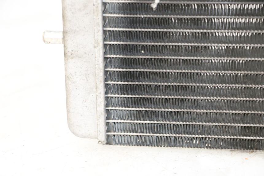 photo de RADIATEUR YAMAHA YP MAJESTY 125 (2007 - 2010)