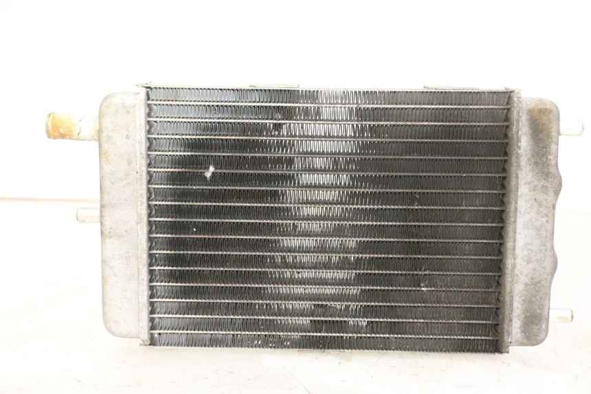 photo de RADIATEUR YAMAHA YP MAJESTY 125 (2007 - 2010)