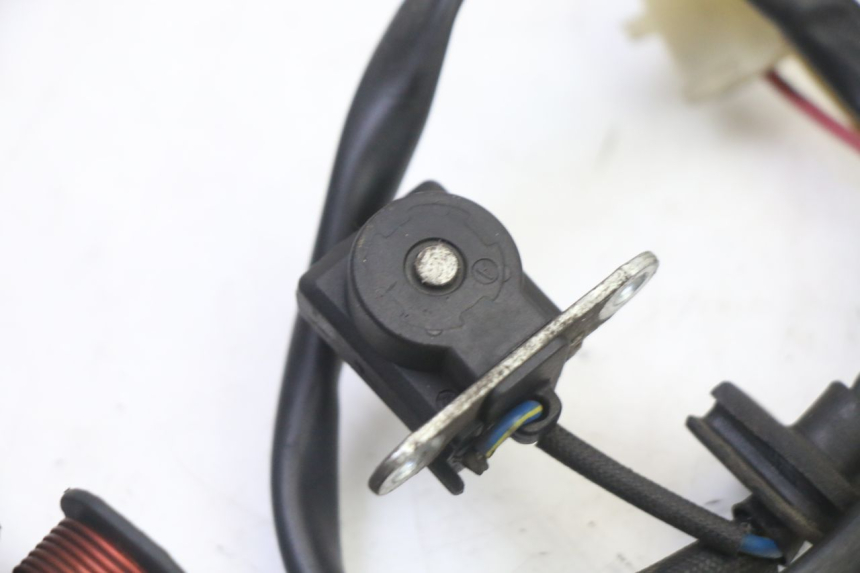 photo de ROTOR STATOR ORCAL CAVARO 4T 50 (2019 - 2023)