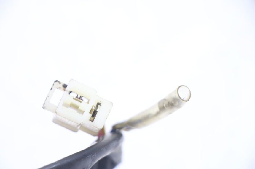 photo de ROTOR STATOR ORCAL CAVARO 4T 50 (2019 - 2023)