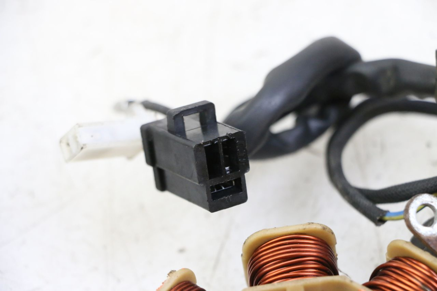 photo de ROTOR STATOR JM MOTORS EVOLIS 4T 50 (2018 - 2022)