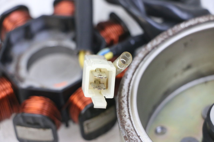 photo de ROTOR STATOR GOES WIKI 125 (2010 - 2015) - Autre angle de vue