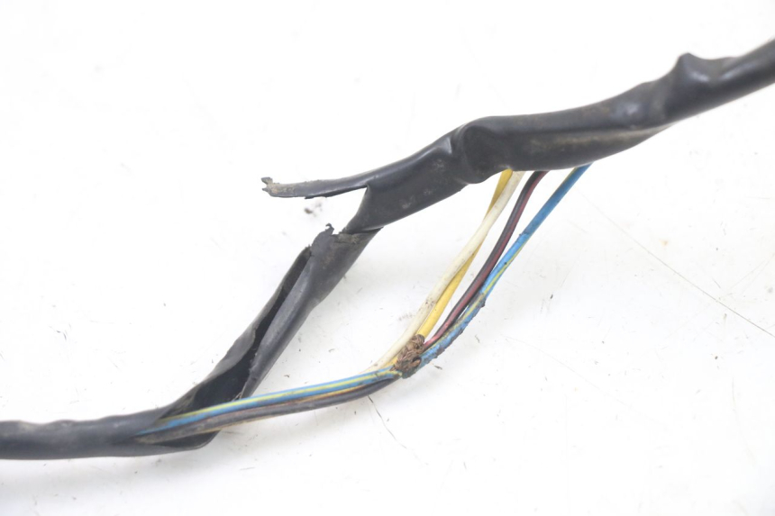 photo de ROTOR STATOR PEUGEOT TKR TREKKER FURIOUS 50 (2005 - 2014)