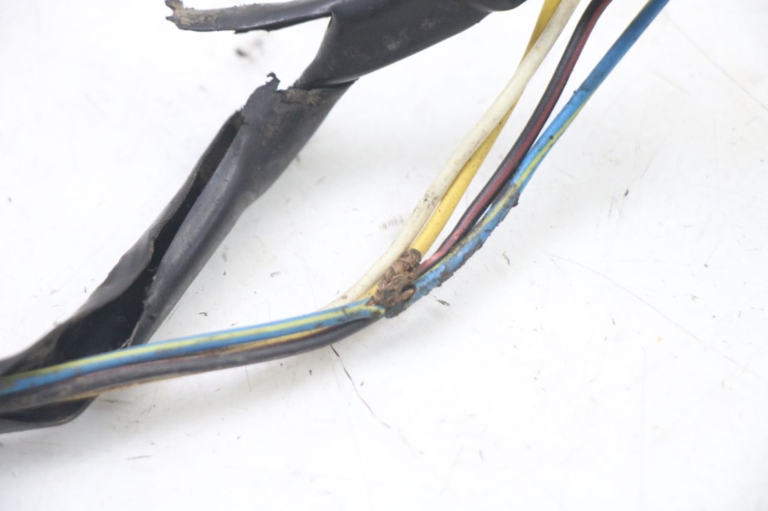 photo de ROTOR STATOR PEUGEOT TKR TREKKER FURIOUS 50 (2005 - 2014)