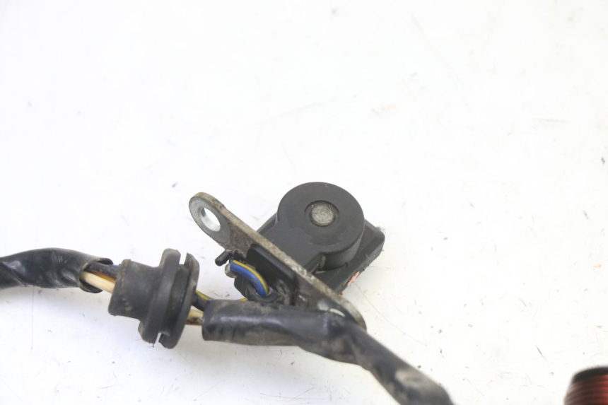 photo de ROTOR STATOR PGO RODOSHOW 2T 50 (2003 - 2007)