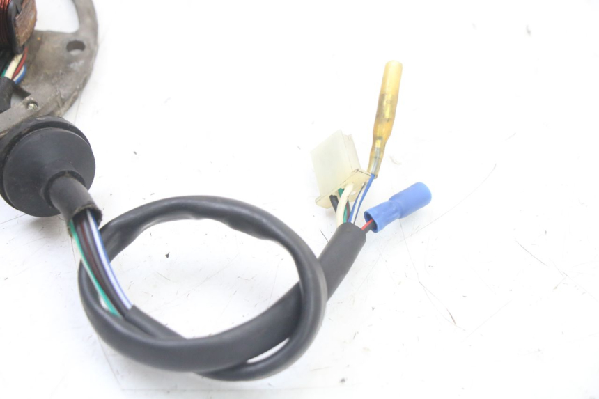 photo de ROTOR STATOR TNT MOTOR ROMA 10' 2T 50 (2011 - 2018)