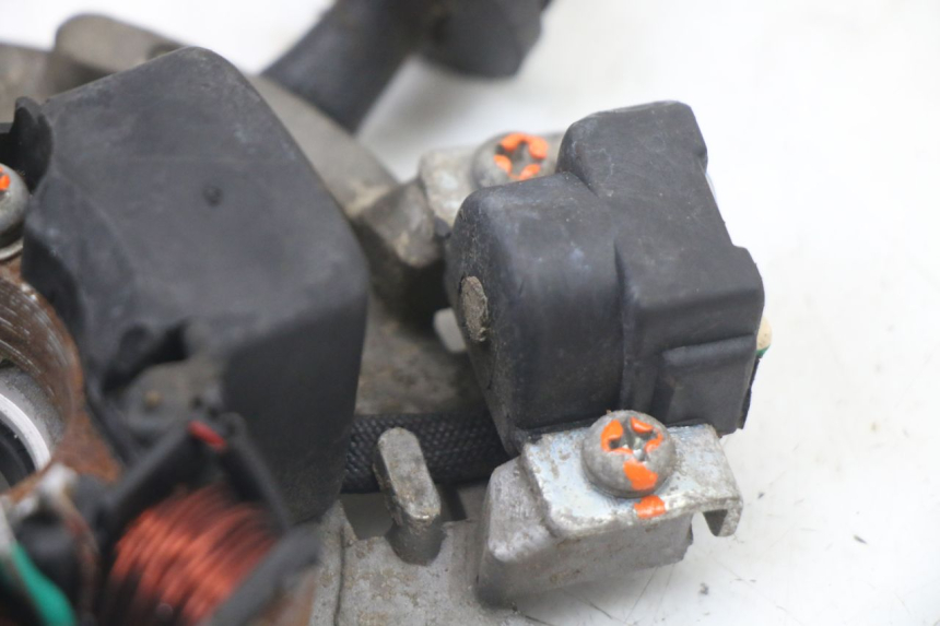 photo de ROTOR STATOR TNT MOTOR ROMA 10' 2T 50 (2011 - 2018)