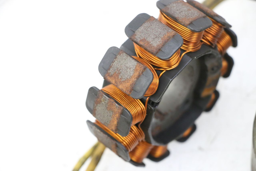 photo de ROTOR STATOR PIAGGIO X9 EVOLUTION 125 (2003 - 2007)