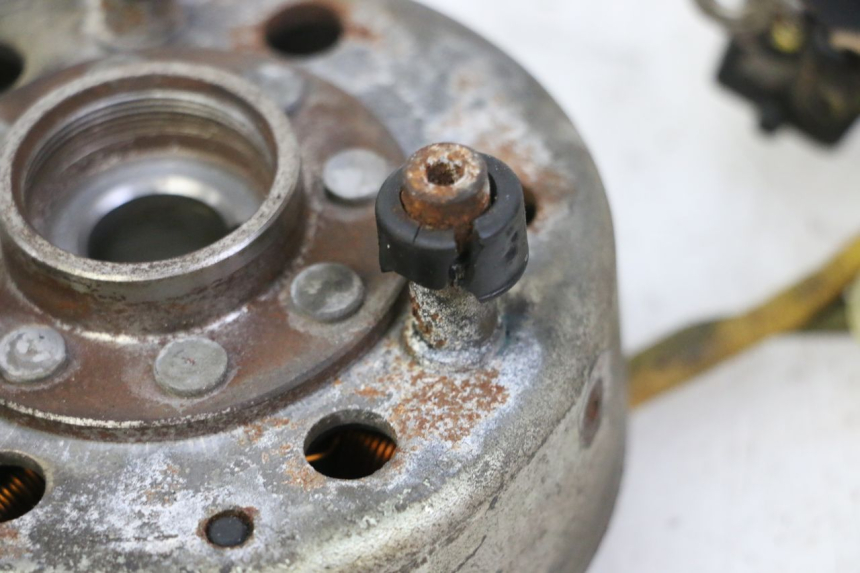 photo de ROTOR STATOR PIAGGIO X9 EVOLUTION 125 (2003 - 2007)