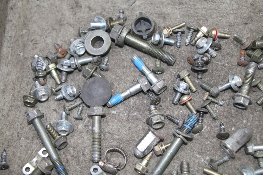 photo de SAC VISSERIE VIS SYM FIDDLE 3 III 125 (2014 - 2020)