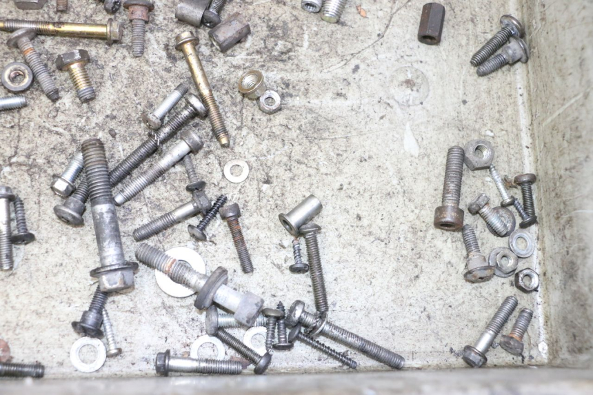 photo de SAC VISSERIE VIS PIAGGIO LIBERTY 125 (1998 - 2008)