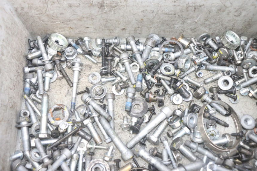 photo de SAC VISSERIE VIS PIAGGIO MP3 HPE 300 (2019 - 2026) - Zoom état d’usage