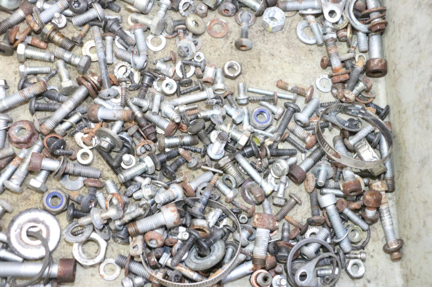 photo de SAC VISSERIE VIS PIAGGIO MP3 RL 250 (2007 - 2010)