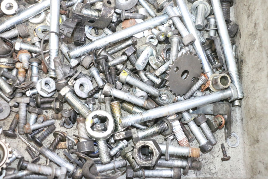 photo de SAC VISSERIE VIS PIAGGIO MP3 RL 250 (2007 - 2010)