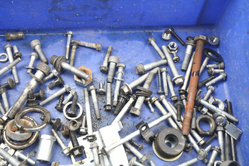 photo de SAC VISSERIE VIS PIAGGIO PRIMAVERA 125 (2013 - 2021) - Détail de la pièce