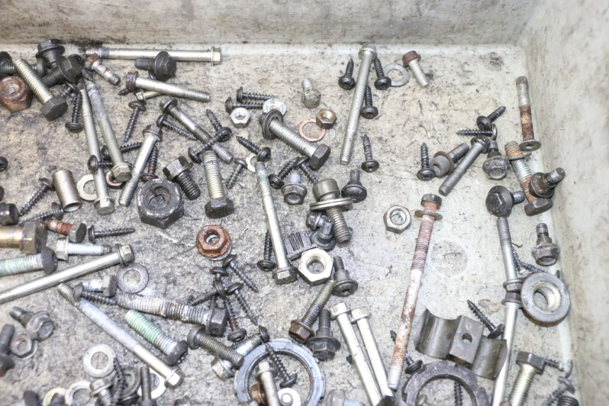 photo de SAC VISSERIE VIS PEUGEOT SATELIS 125 (2006 - 2009)