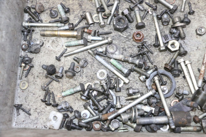 photo de SAC VISSERIE VIS PEUGEOT SATELIS 125 (2006 - 2009)