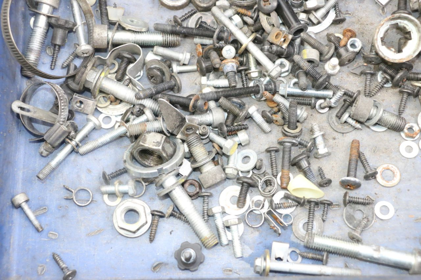 photo de SAC VISSERIE VIS PIAGGIO XEVO - X EVO 125 (2007 - 2017) - Zoom état d’usage