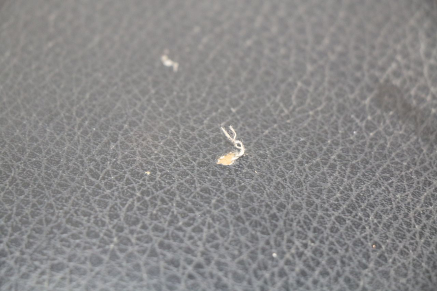 photo de SELLE ARRIERE KYMCO AGILITY 4T 50 (2005 - 2018)