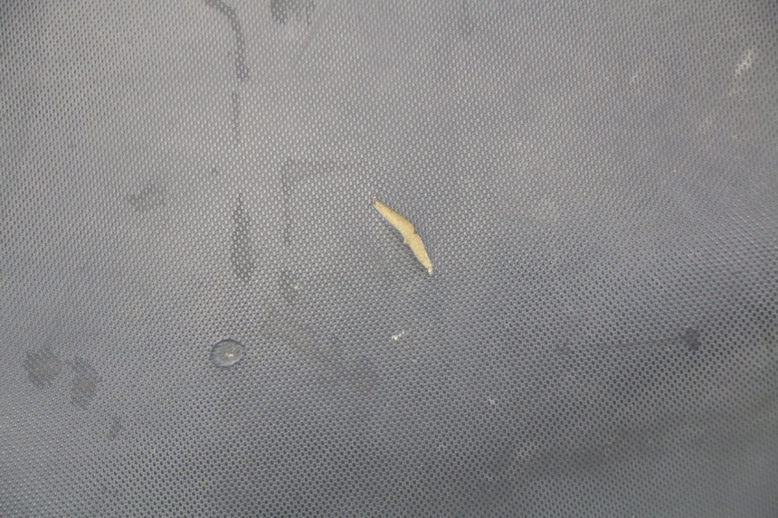 photo de SELLE YAMAHA BW'S 50 (2004 - 2017)