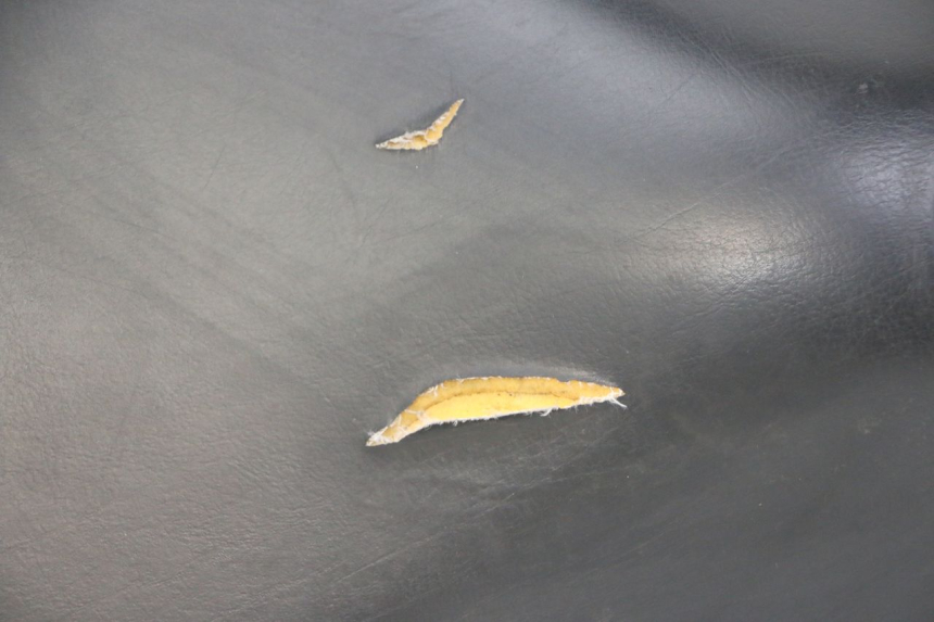 photo de SELLE PEUGEOT ELYSTAR 50 (2002 - 2014)