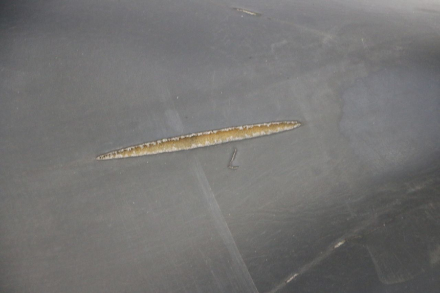 photo de SELLE PIAGGIO LIBERTY 125 (1998 - 2008)